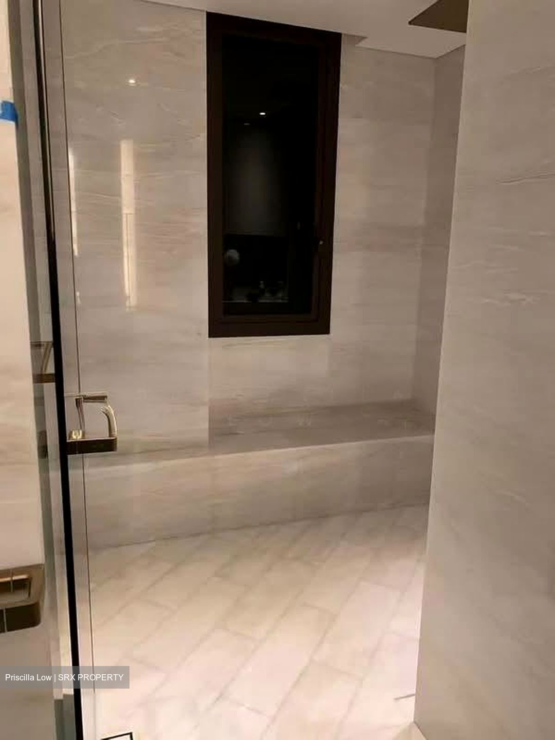 Ardmore Park (D10), Condominium #568785691